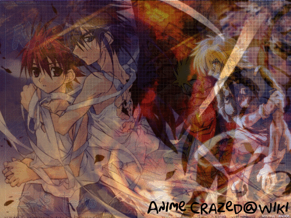 <img:stuff/.Anime_Crazed_Banner2S.gif>