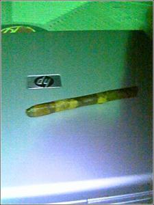 <img0*300:stuff/FrankenBlunt.jpg>