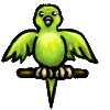 <img:stuff/GreenParakeet.gif>