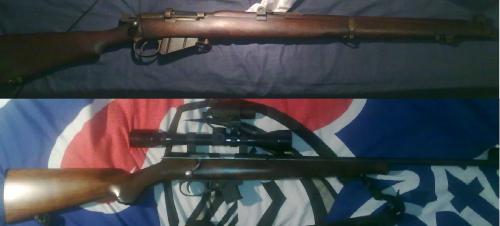 <img500*226:stuff/My_new_Rifles.jpg>