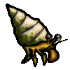 <img:stuff/Pointy%20Hermit%20Crab.gif>