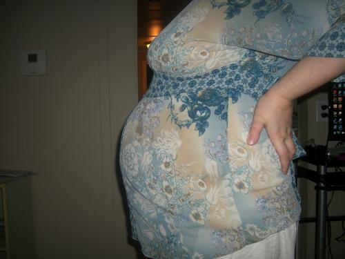 <img500*375:stuff/Pregnancy.jpg>