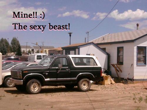 <img500*374:stuff/This_is_my_bronco_named_sexy_beast.jpg>