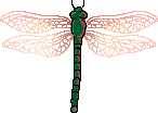 <img:stuff/aj/2605/dragonfly3.png>