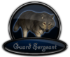 <img100*0:stuff/aj/28425/bookguardsergeant.png>