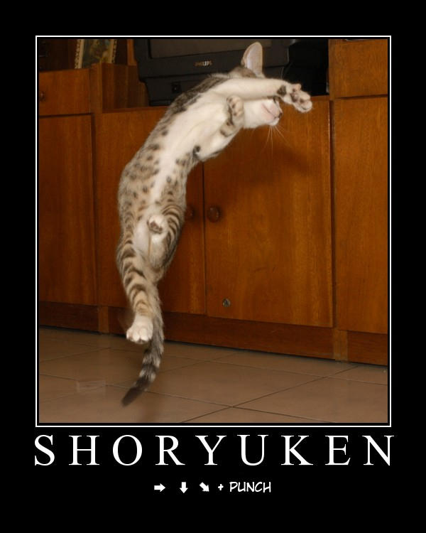 <img:stuff/fun/shoryuken.jpg>