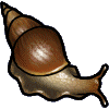 <img:stuff/giantafricansnail.gif>