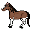 <img:stuff/horse.gif>