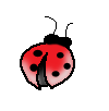 <img:stuff/ladybuggifpet3.gif>