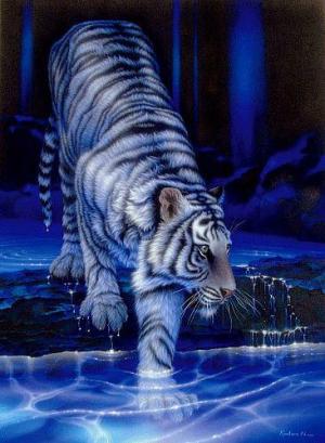 <img300*0:stuff/lovely_tiger.jpg>