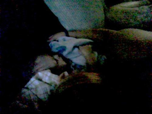 <img500*375:stuff/me_sleeping_with_my_lil_man.jpg>