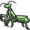 <img:stuff/prayingmantis.gif>