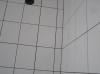 <img100*0:stuff/z/1/bathroom%25204/p1020007.jpg>