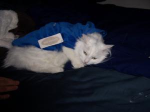 <img300*0:stuff/z/12022/Jasper/hate%20sweater.JPG>