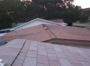 <img300*0:stuff/z/1621/A%2520Florida%2520Rooftop%2520Adventure/100_3237.JPG>