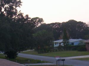 <img300*0:stuff/z/1621/A%2520Florida%2520Rooftop%2520Adventure/100_3241.JPG>