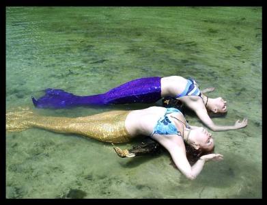 <img0*300:stuff/z/1621/MermaidSasha/Mermaids.jpg>