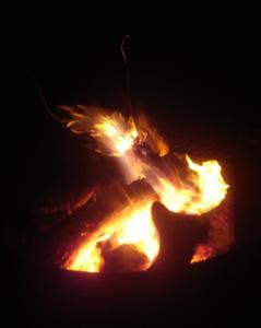 <img0*300:stuff/z/26733/Kaleigh%2527s%2520photos%2520-%2520camping/The%20Fire.jpg>