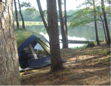 <img0*300:stuff/z/26733/Kaleigh%2527s%2520photos%2520-%2520camping/The%20tent.jpg>