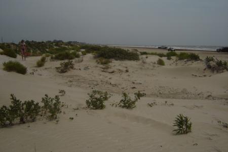 <img0*300:stuff/z/26733/Kaleigh%2527s%2520photos%2520-%2520the%2520beach/Landscape%20-%20mommy.jpg>