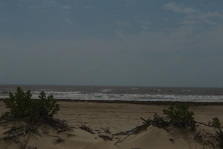 <img0*300:stuff/z/26733/Kaleigh%2527s%2520photos%2520-%2520the%2520beach/Sand,%20water,%20sky.jpg>