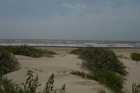 <img0*300:stuff/z/26733/Kaleigh%2527s%2520photos%2520-%2520the%2520beach/Sand,%20water,%20sky2.jpg>