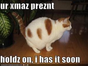 <img300*0:stuff/z/50962/funny%2520as%2520hell/i1201925602_37.jpg>